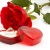 Wedding Proposal Tips